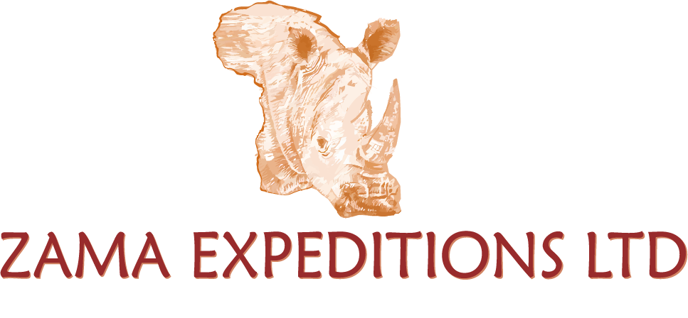 Zama Expeditions