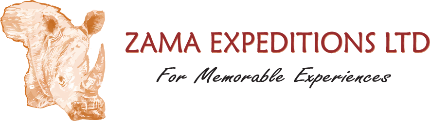 Zama Expeditions